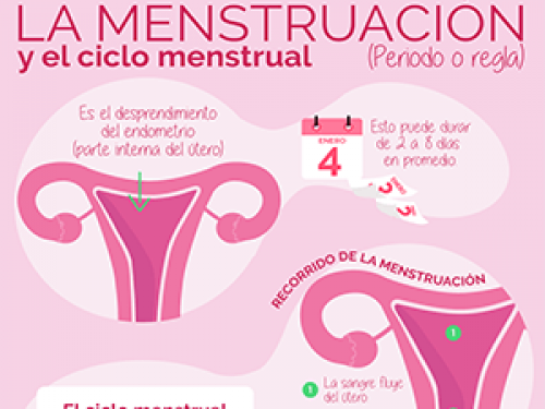 Salud sexual: Todo lo que necesitas saber sobre tu ciclo menstrual (menstruación).