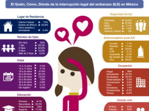 Aborto: Datos estadísticos sobre las características de las mujeres que deciden interrumpir su embarazo.